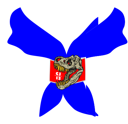 Necker tied with a woggle