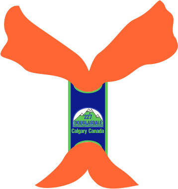 Necker tied with a woggle